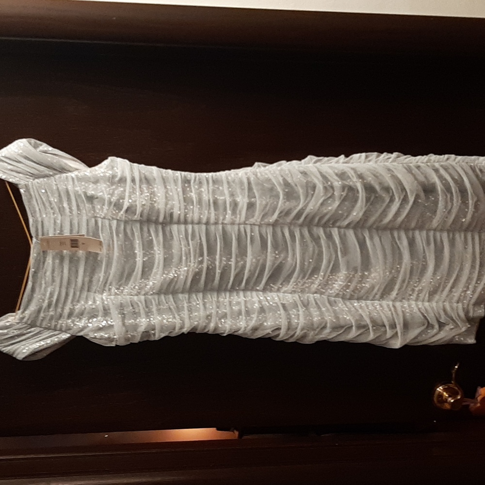 Dress, fancy